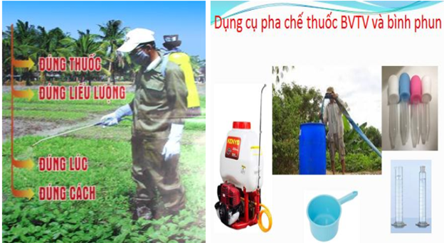 Nghiên cứu thử nghiệm chế phẩm chứa Anthraquinone từ cốt khí củ (Polygonum cuspidatum) kết hợp nano TIO2 trong phòng trừ bệnh do nấm gây ra trên cây dưa tại thành phố Hải Phòng