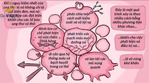 “Luồng gió” ẩn trong tế bào: Phát hiện mới có thể thay đổi cách hiểu về ung thư