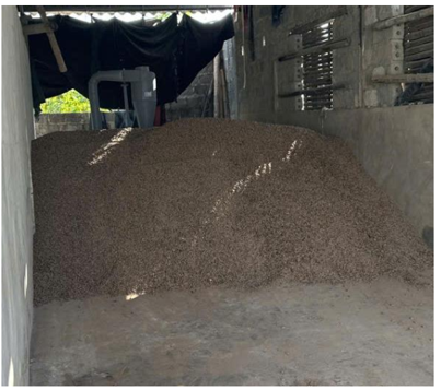 Hoàn thiện công nghệ và xây dựng mô hình sản xuất viên nén rơm ra tại Hải Phòng