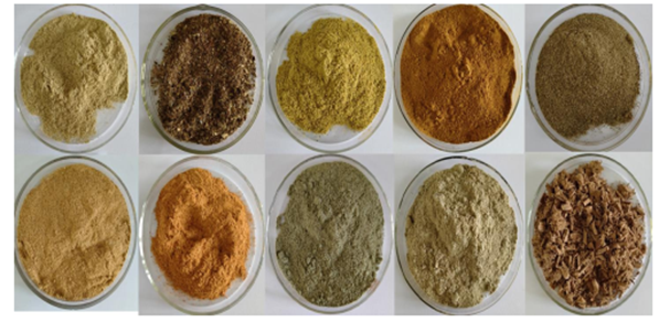 Nghiên cứu các thảo dược có tác dụng kích thích miễn dịch và phòng trị bệnh dùng trong chăn nuôi