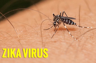 Dấu hiệu và cách phòng tránh bệnh virus ZIKA