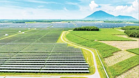 Điện mặt trời kết hợp nông nghiệp: Hướng đi mới cho sản xuất bền vững
