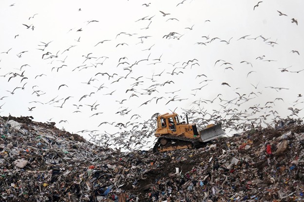 Chất thải độc hại có thể thành chất xúc tác cho các phản ứng hóa học xanh tạo bước đột phá năng lượng sạch trong tương lai