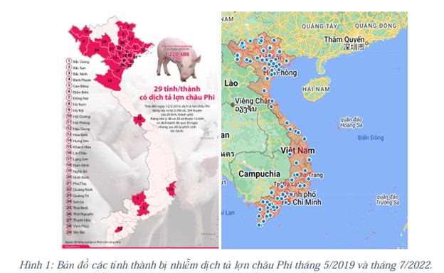 Nghiên cứu phát triển chế phẩm chứa nano bạc có tác dụng phòng dịch tả lợn Châu Phi