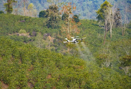 Điện Biên thử nghiệm UAV phun phân bón cho cây cà phê