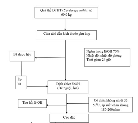 Nghiên cứu phát triển sản phẩm hỗ trợ hạ đường huyết và tăng cường miễn dịch từ đông trùng hạ thảo (Cordyceps militaris) nuôi trồng tại Hải Dương (nay là thành phố Hải Phòng)