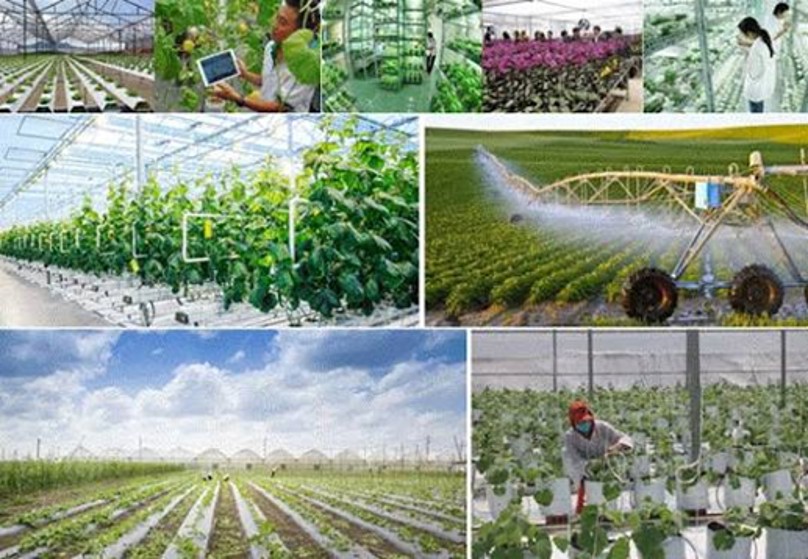 Quy định mới về khu nông nghiệp ứng dụng công nghệ cao
