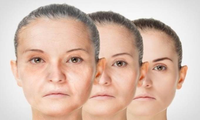 Phát hiện các phân tử chống lão hóa trong máu người