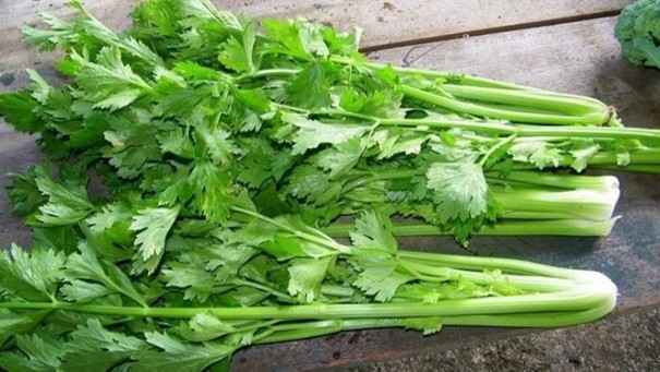 Muốn giải nhiệt, hỗ trợ gan khỏe mạnh, nên bổ sung ngay 4 loại rau này
