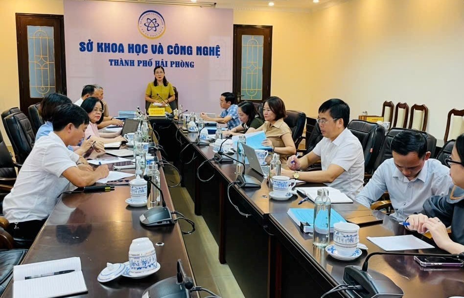 Phối kết nhiều loại cây, hoa nở gối nhau từ tháng 2 đến tháng 11: Giải pháp mới cho cảnh quan xanh - đẹp trên các tuyến đường Hải Phòng