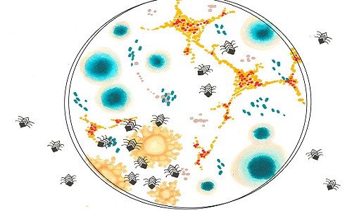 Cỗ máy siêu nhỏ đoạt giải Nobel hóa học có thể tìm diệt tế bào ung thư