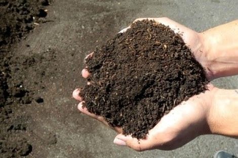 Nghiên cứu chế tạo phân bón hữu cơ vi sinh nhằm nâng cao năng suất, chất lượng thuốc lá vàng sấy và cải tạo đất trồng thuốc lá