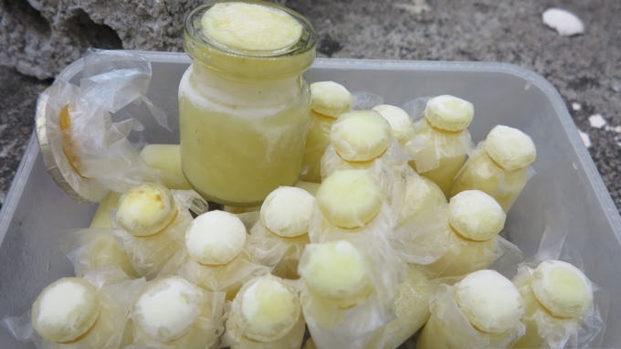 Nuôi ong lấy “sữa” cho thu nhập hàng trăm triệu đồng