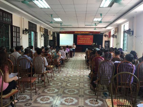 Giới thiệu kỹ thuật sản xuất rau theo hướng hữu cơ tại Hải Phòng
