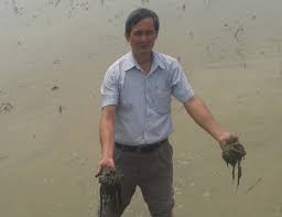 Xử lý rơm, rạ thành phân bón hữu cơ ngay tại ruộng