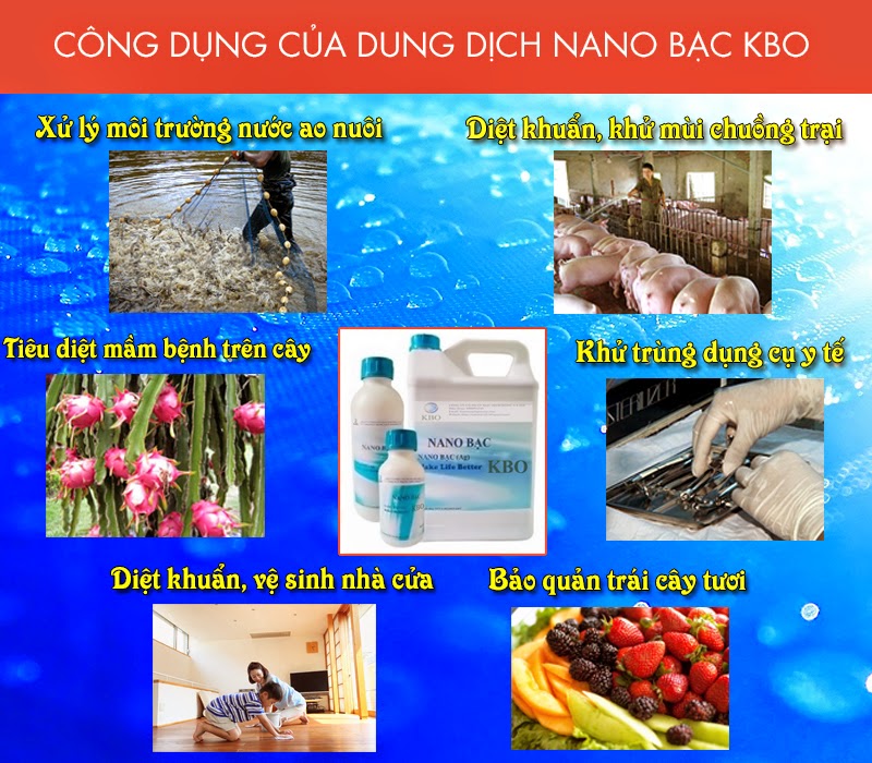 Ứng dụng Nano bạc trong nuôi tôm và thủy sản