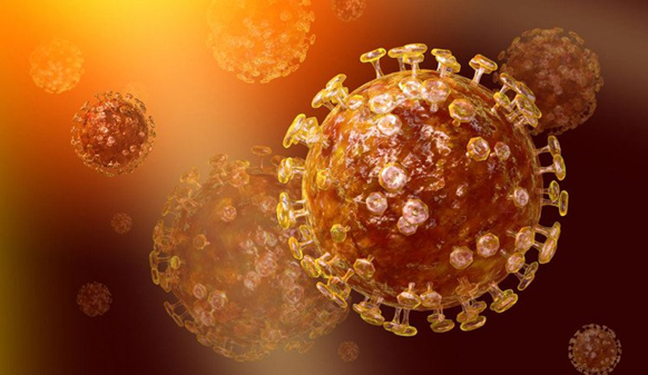 Phát hiện mới về virus MERS-CoV khiến nhiều người lo lắng