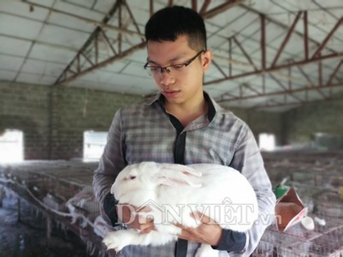 Thanh niên về quê nuôi thỏ thu trăm triệu/năm
