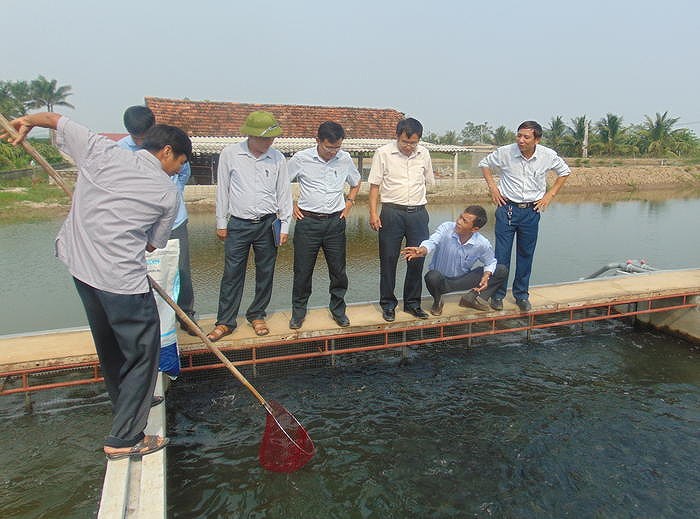Nuôi cá theo công nghệ Thái Lan, thu 1 tỷ đồng/năm