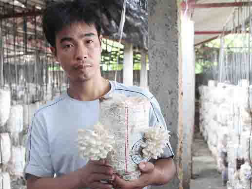 Thu 1 tỷ đồng mỗi năm nhờ tuyệt chiêu trồng nấm thú vị