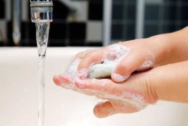 Cách xử lý đúng khi bị chó cắn