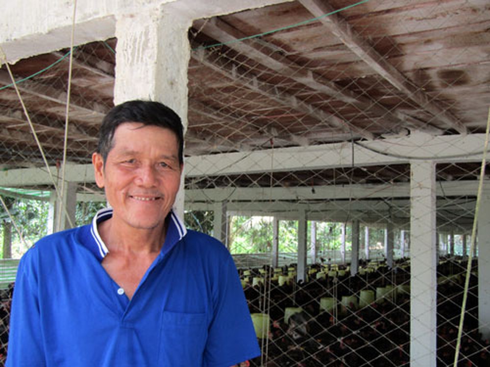 Nuôi gà “2 tầng”, lãi ròng 400 triệu/năm