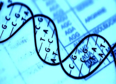 Kỹ thuật chỉnh sửa gene CRISPR của Nhật Bản đã đạt tới độ "chính xác tuyệt đối"