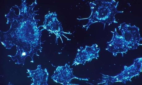 Tối ưu hóa các công nghệ để phát hiện đột biến trong tế bào ung thư