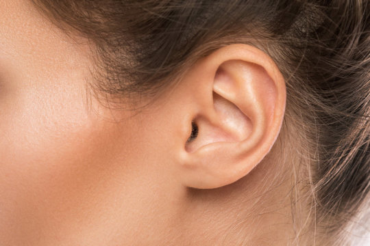 Phát hiện tế bào thần kinh mới ở tai trong có thể bổ sung liệu pháp cho bệnh rối loạn thính giác