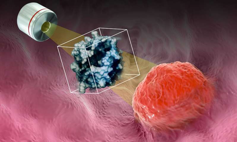 Công nghệ mới xác định các protein bên trong lượng lớn tế bào