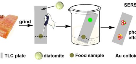 Tính chất tinh thể quang tử của tảo hóa thạch có triển vọng cải thiện an toàn thực phẩm