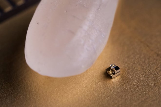 Chế tạo thành công máy tính nhỏ nhất thế giới bé hơn cả hạt gạo