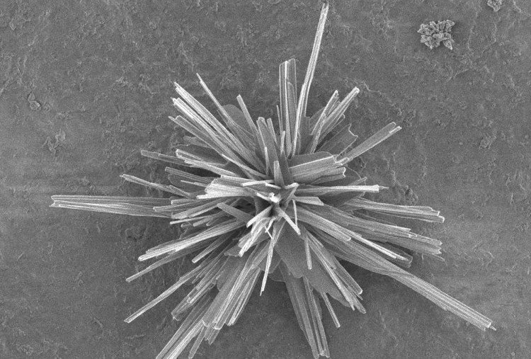 Tìm ra cách "tái chế" khí carbon dioxide thành nhựa