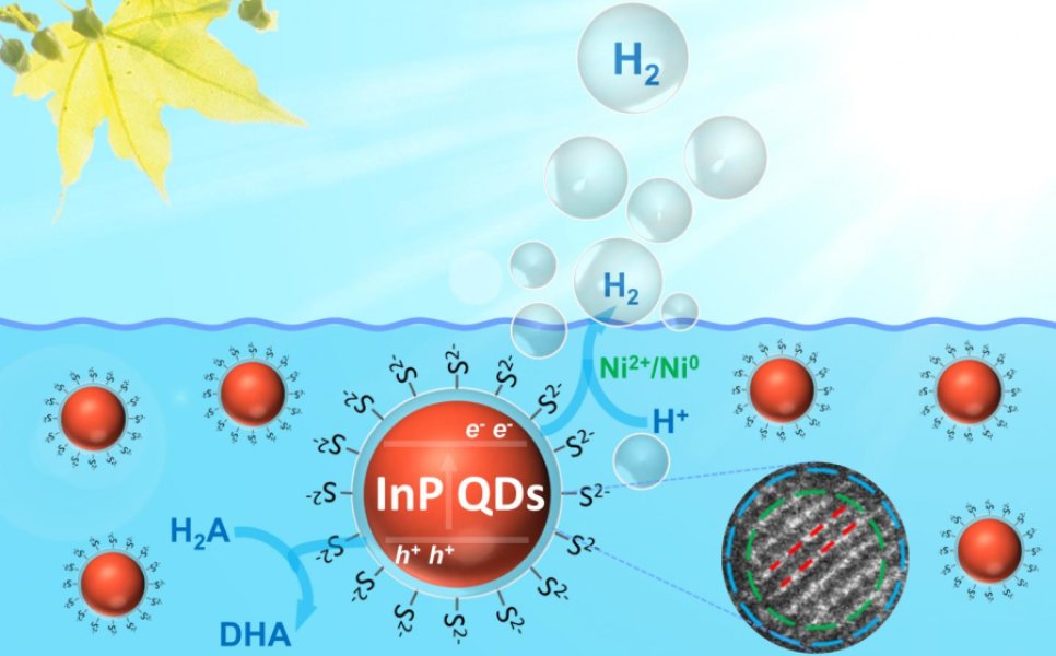 Các hạt nano thân thiện với môi trường giúp quang hợp nhân tạo