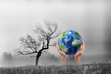 Các dự báo về khí hậu cần bao gồm các tác động của CO2 lên sự sống