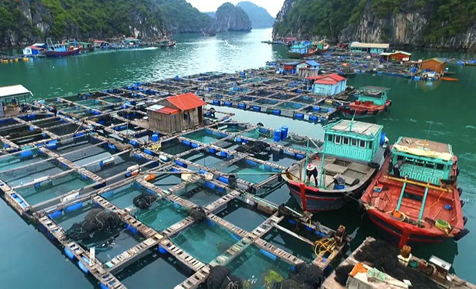 Ứng dụng công nghệ tự động hóa, năng lượng tái tạo trong nuôi trồng, khai thác thủy hải sản
