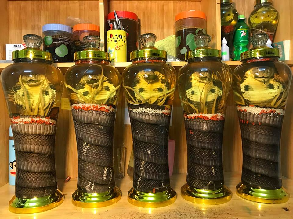 Ngâm và uống rượu ngâm đúng cách