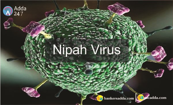 Đẩy nhanh nghiên cứu vắcxin ngừa virus Nipah gây tổn thương não bộ