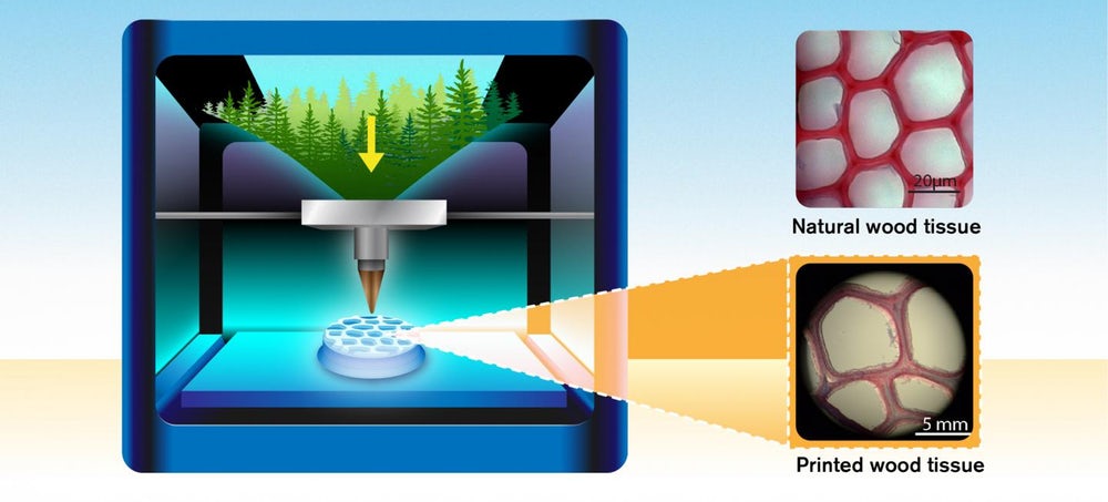 Đột phá in 3D mở đường cho các sản phẩm in bằng gỗ