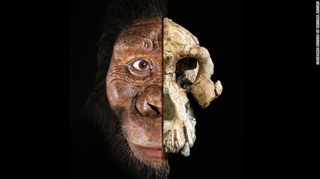 Tìm thấy khuôn mặt tổ tiên lâu đời nhất của loài người