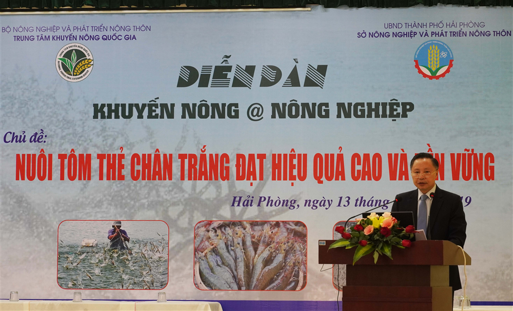 Giải pháp nuôi tôm thẻ chân trắng đạt hiệu quả cao và bền vững