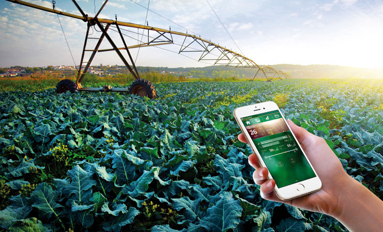 Ứng dụng điện thoại thông minh tưới phun cho cây trồng