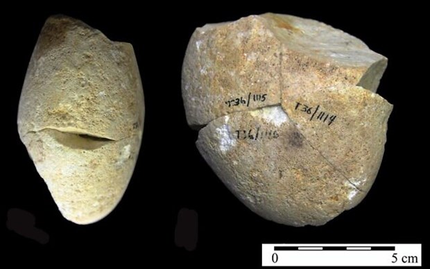 Một công cụ mài bằng đá đã được tìm thấy trong hang Tabun ở núi Carmel.