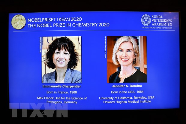 Giải Nobel Hóa học 2020 vinh danh 2 nhà khoa học người Pháp và Mỹ