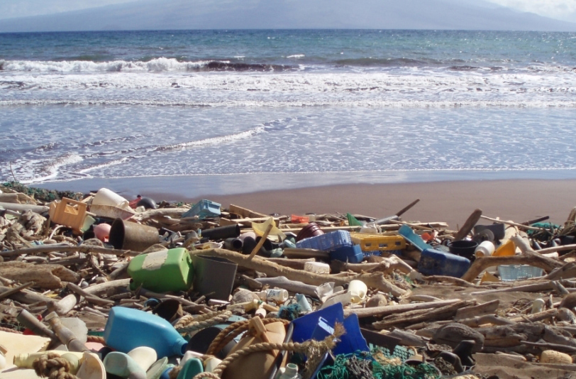 Đại học Georgia và tổ chức môi trường Ocean Conservancy cho rằng Mỹ đã chuyển 1,99 tấn nhựa được thu gom nhằm mục đích tái chế ra nước ngoài từ năm 2016 - 2020.