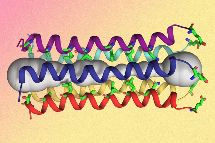 hình ảnh minh họa phát hiện một protein quan trọng của coronavirus