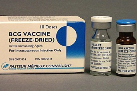 Vaccine phòng lao có thể hỗ trợ phòng bệnh COVID-19