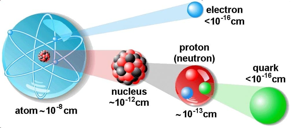 Trong phân rã beta, một neutron bên trong hạt nhân phân rã thành một proton trong khi phát ra một electron và một phản neutrino”