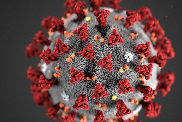 Virus tạo ra trong phòng thí nghiệm hỗ trợ nghiên cứu COVID-19