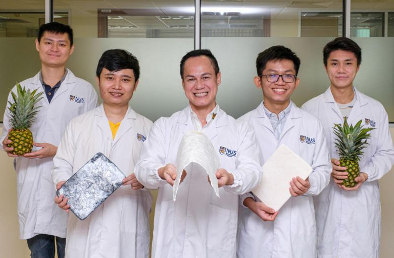 Phế phẩm dứa thành aerogel có giá trị cao: Hướng đi mới cho phụ phẩm nông nghiệp